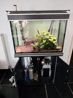 Aquarium 200L met volledige uitrusting!!! +Co2, Ophalen, Gebruikt, Overige typen
