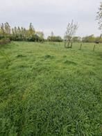 Weide en stal te huur