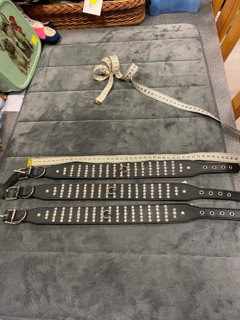 Luxe halsbanden aan super spotprijsje !, Ophalen of Verzenden, Nieuw