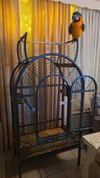 Papegaai kooi, Enlèvement