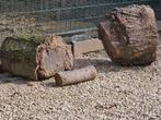 Troncs d'arbres - bois de chauffage gratuit, Jardin & Terrasse, Enlèvement