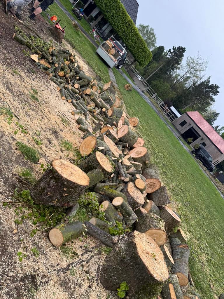 Vers gezaagr eik brand hout op rol, Ophalen of Verzenden