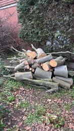 Beukenhout / brandhout – vers gezaagd, Tuin en Terras, Brandhout, Ophalen, Beukenhout