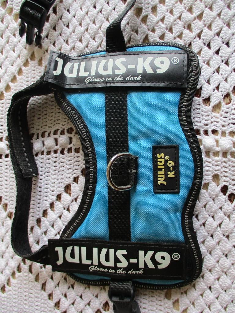 Nouveau harnais pour chien Julius K9 taille bébé 2, Animaux & Accessoires, Enlèvement ou Envoi, Neuf, Laisse pour chien