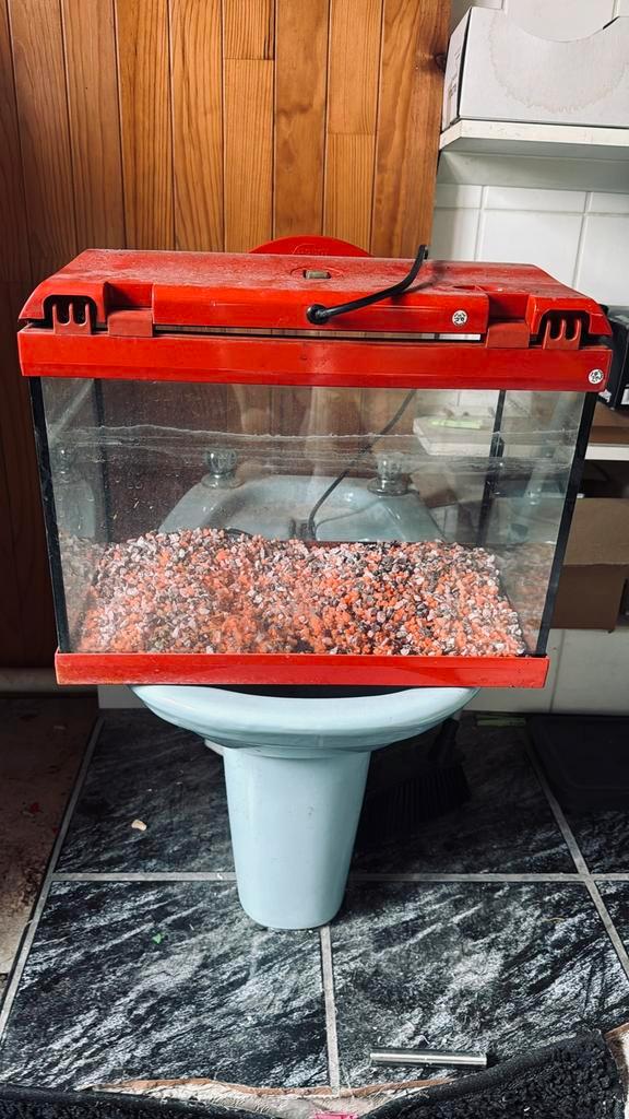Aquarium avec éclairage — bon état, Animaux & Accessoires, Reptiles & Amphibiens | Accessoires, Comme neuf, Éclairage, Enlèvement