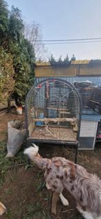 Cages plus grandes, Animaux & Accessoires, Enlèvement, Utilisé, Métal, Cage à oiseaux