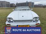 Jaguar XJS 6.0 V12 Cabriolet | 1995 | Route 66 Auctions, Achat, Entreprise, Boîte manuelle, Autre carrosserie