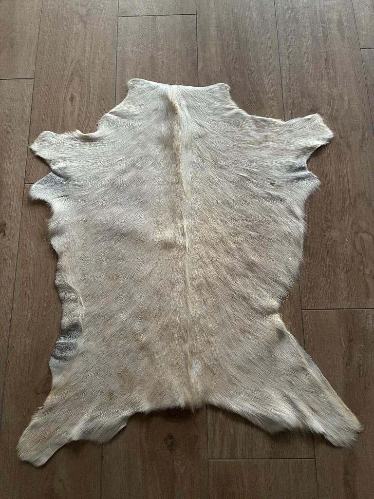 Tafelkleed, geitenhuid kortharig, Collections, Collections Animaux, Enlèvement, Comme neuf, Autres, Animal empaillé