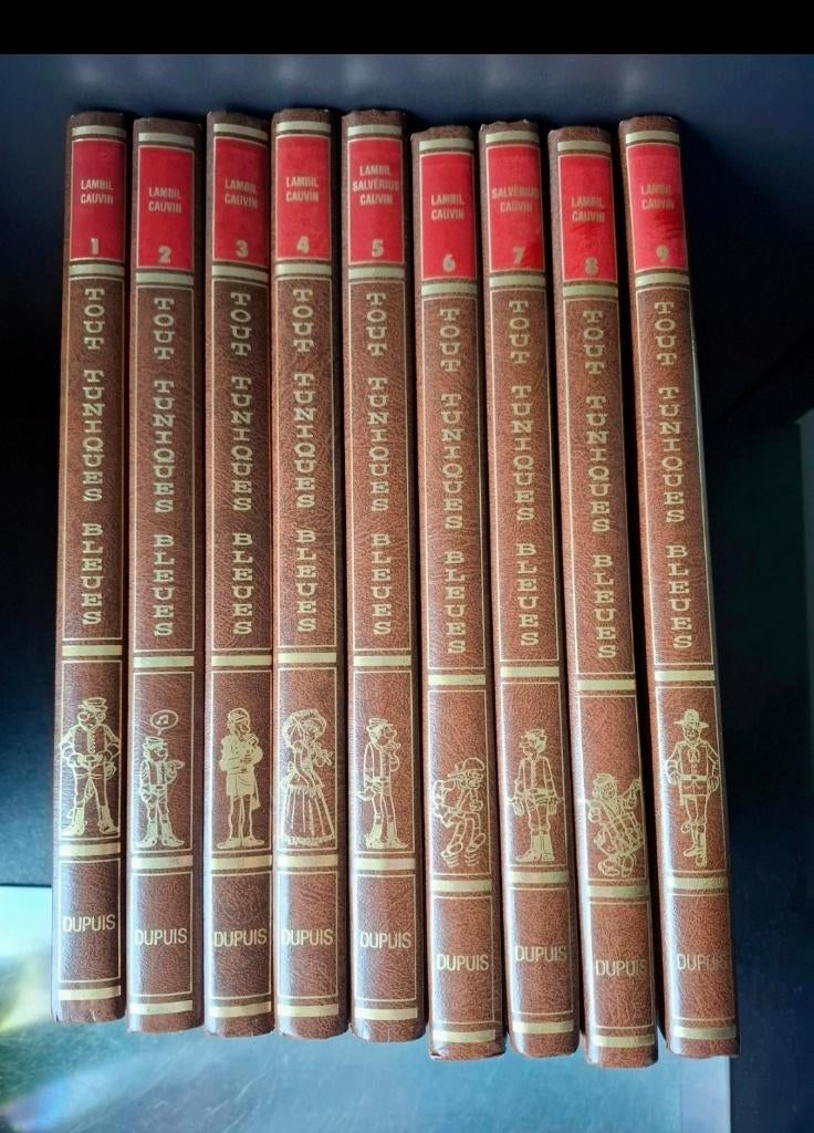 Integrale Franquin Tuniques Bleues Rombaldi, Plusieurs BD, Enlèvement ou Envoi, Comme neuf, Franquin