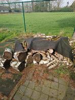 Berken brandhout en pallet hout., Enlèvement, Bouleau