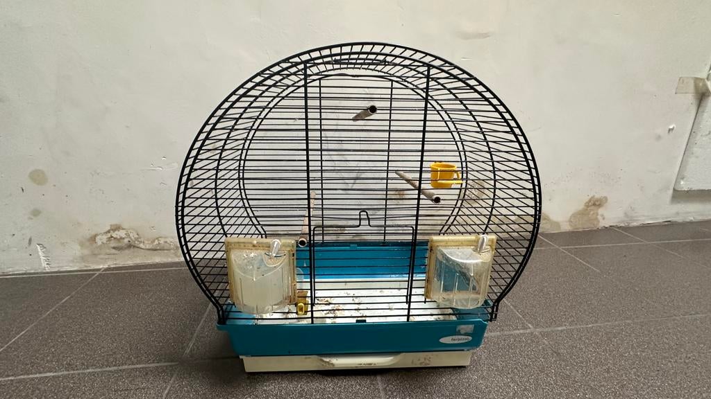 Kooi, Dieren en Toebehoren, Ophalen, Zo goed als nieuw