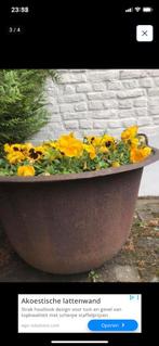 Prachtige antieke bloempot, Ophalen, Zo goed als nieuw