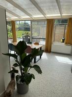 Veranda met dubbele beglazing, Enlèvement