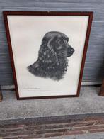 Gravure cocker signe leon danchin, Antiek en Kunst, Ophalen of Verzenden