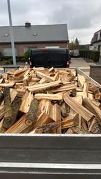 Brandhout, droog tegen winter 2026-2027, Tuin en Terras, 3 tot 6 m³, Ophalen of Verzenden, Overige houtsoorten, Blokken