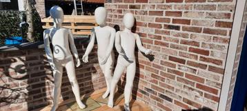 Paspoppen  beschikbaar voor biedingen