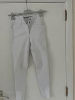 Animo witte rijbroek, Ophalen, Zo goed als nieuw