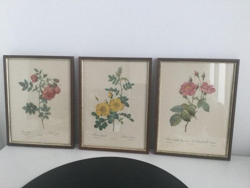 Set van 3 kleine roze lijstjes: litho's van P.J Redouté, Antiek en Kunst, Kunst | Litho's en Zeefdrukken, Ophalen of Verzenden