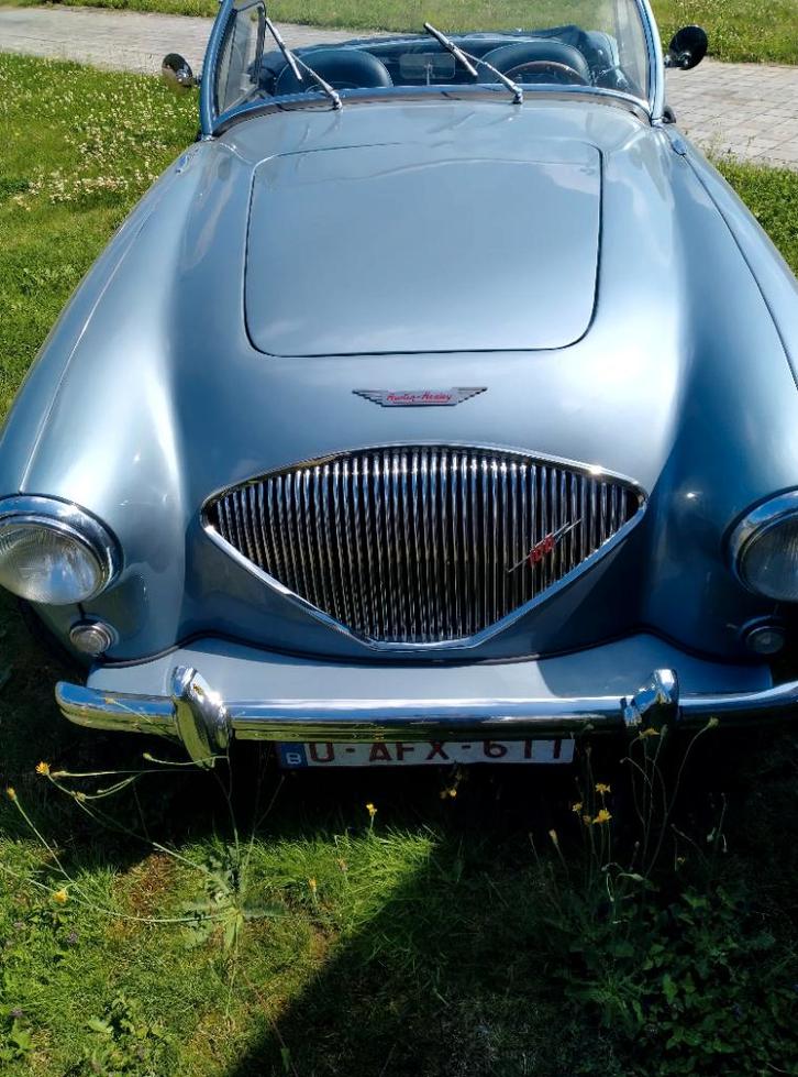 Austin Healey 100-4 BN1 totaal restauratie, Auto's, Austin, Particulier, Benzine, Cabriolet, 2 deurs, Handgeschakeld, Blauw, Blauw