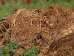 Gratis paardenmest te Brecht, Ophalen, Mest