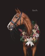 paard, Dieren en Toebehoren, Paarden, 175 cm of meer, Gechipt, Ruin, M