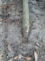 Betonplaat ongeveer 30 lm, Enlèvement