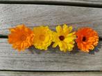 20 zaden goudsbloem - calendula - gemengde kleuren, Tuin en Terras, Bloembollen en Zaden, Verzenden, Volle zon, Zaad