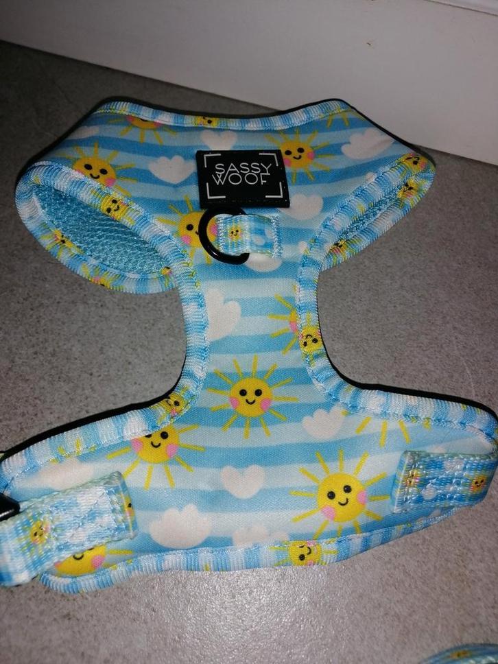 Nieuw hondentuigje, Dieren en Toebehoren, Hondenkleding, Nieuw, Ophalen