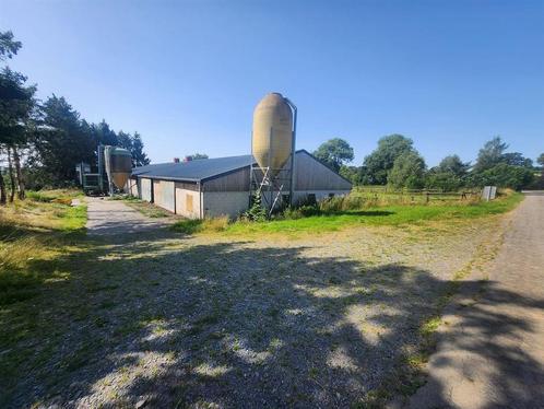 Terrain à vendre à Houffalize, Immo, Terrains & Terrains à bâtir, 1500 m² ou plus