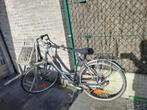 Damesfiets, Fietsen en Brommers, Gebruikt, 47 tot 50 cm, Versnellingen, Ophalen