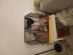 Ratten te geef en benodigheden te geef., Dieren en Toebehoren, Knaagdieren en Konijnen | Hokken en Kooien, Ophalen, Zo goed als nieuw