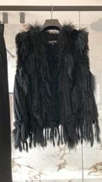 Zwarte bodywarmer-Oakwood, Kleding | Dames, Zwart, Ophalen of Verzenden, Zo goed als nieuw, Oakwood