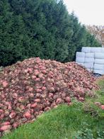 Voederbiet, Dieren en Toebehoren, Ophalen, Vee