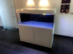 compleet lacobel aquarium, Dieren en Toebehoren, Ophalen, Gebruikt, Leeg aquarium