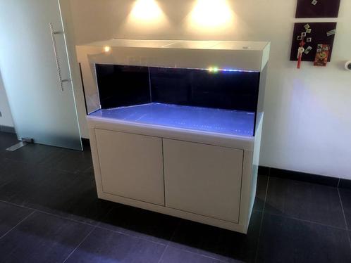 compleet lacobel aquarium, Dieren en Toebehoren, Vissen | Aquaria en Toebehoren, Gebruikt, Leeg aquarium, Ophalen