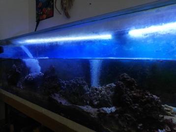 Aquarium 500 l