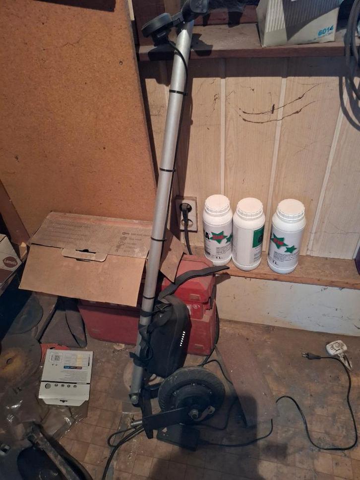 Visgerief, Sports nautiques & Bateaux, Pêche à la ligne | Général, Utilisé, Canne à pêche complète, Enlèvement