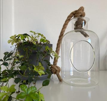 Deco glas pot beschikbaar voor biedingen