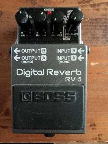Digital Reverb rv5 