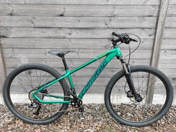 MTB in verschillende maten!! beschikbaar voor biedingen