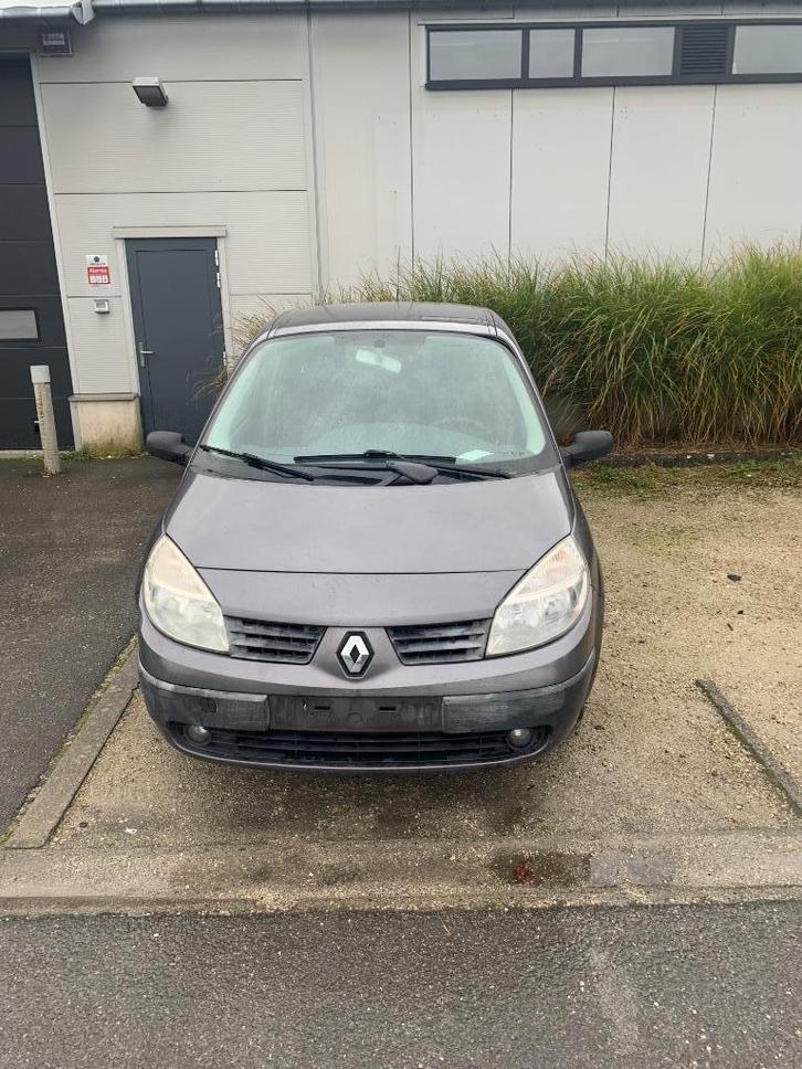 Renault Megane Scenic, Auto's, Renault, Particulier, Mégane, Airbags, Centrale vergrendeling, Cruise Control, Elektrische buitenspiegels