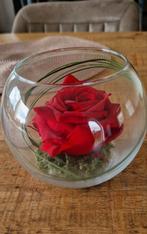 Decoratief gedrooogvriesde roos in perfecte staat, Huis en Inrichting, Woonaccessoires | Stolpen, Zo goed als nieuw, Ophalen