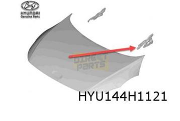 Hyundai Ioniq 5 (10/21-) Motorkapscharnier Links Origineel! 
