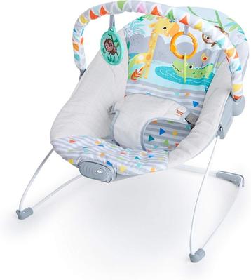 Bright Starts Baby Rocker LIVRAISON GRATUITE disponible aux enchères