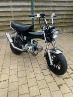 Dax B klasse, Fietsen en Brommers, Ophalen, Zo goed als nieuw, Klasse B (45 km/u), 50 cc