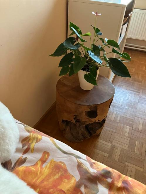 Pilaren of bijzettafels van massief teakhout, Huis en Inrichting, Woonaccessoires | Zuilen en Pilaren, Zo goed als nieuw, Ophalen