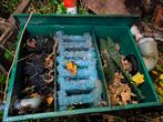 3delige filter +pomp, Tuin en Terras, Vijvers, Ophalen, Gebruikt