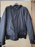 Zwarte Winterjas Dickies, Dickies, Taille 52/54 (L), Enlèvement, Porté