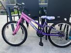 meisjes fiest 20 inch, Fietsen en Brommers, Ophalen, Gebruikt, Versnellingen, 20 inch