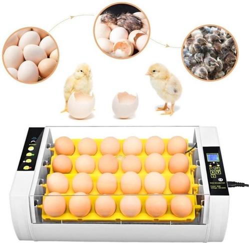 Automatische broedmachine 24 ei +  Gratis broedeieren, Dieren en Toebehoren, Pluimvee | Toebehoren, Nieuw, Broedmachine, Ophalen of Verzenden